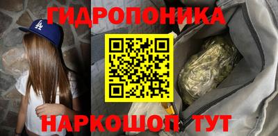 ECSTASY Новозыбков