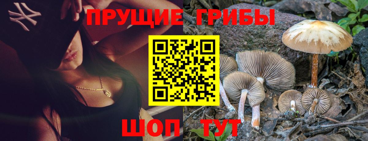 Псилоцибиновые грибы прущие грибы Рязань