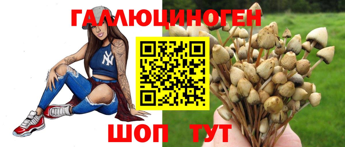 Псилоцибиновые грибы Psilocybine cubensis  Вход с VPN  Рязань  Псилоцибиновые грибы Cubensis 